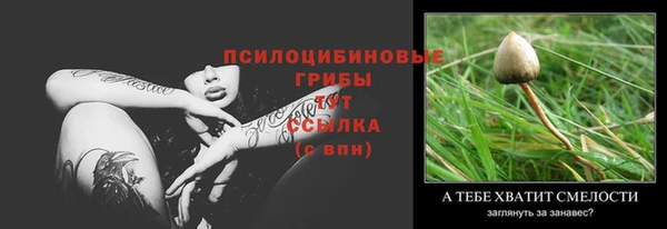 спиды Арсеньев