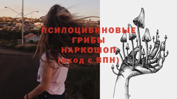 метадон Аркадак