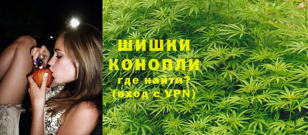спиды Арсеньев