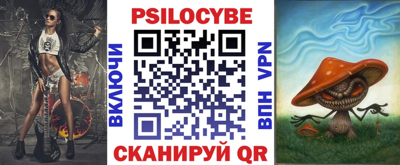 Купить  Мончегорск  Галлюциногенные грибы Psilocybe 